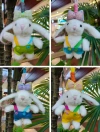 Drooping ear rabbit plush keychain doll, keychain pendant, simulation doll, cute and small schoolbag pendant Application Scenario